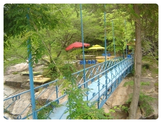 도림민박식당 이미지