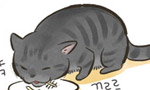 이미지 정보